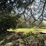 Maison Avec Jardin *